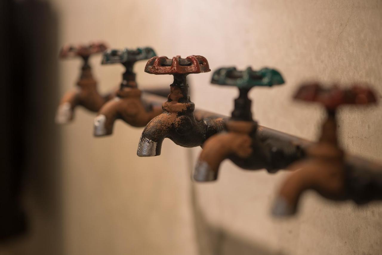 Meet The Bay Homestay 南湾 エクステリア 写真